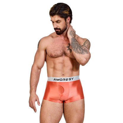 Pegasus Ultra-Thin Sheer Boxer Shorts