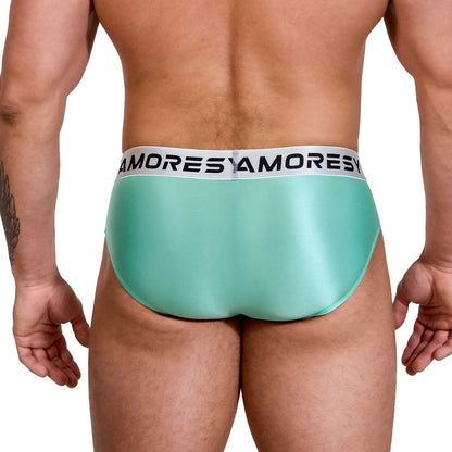 Vanguard Ultra-Thin Sheer Briefs