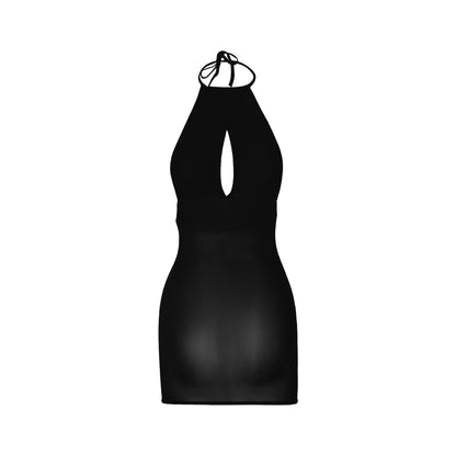 Tasti Halterneck Backless Sheer Mini Dress
